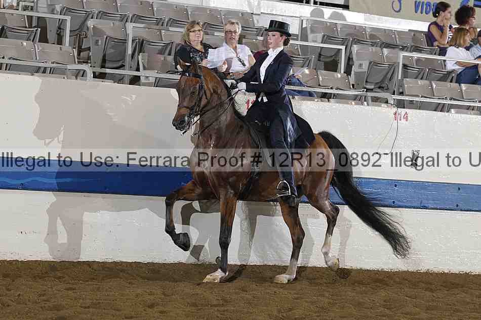 Proof 12r13_0892