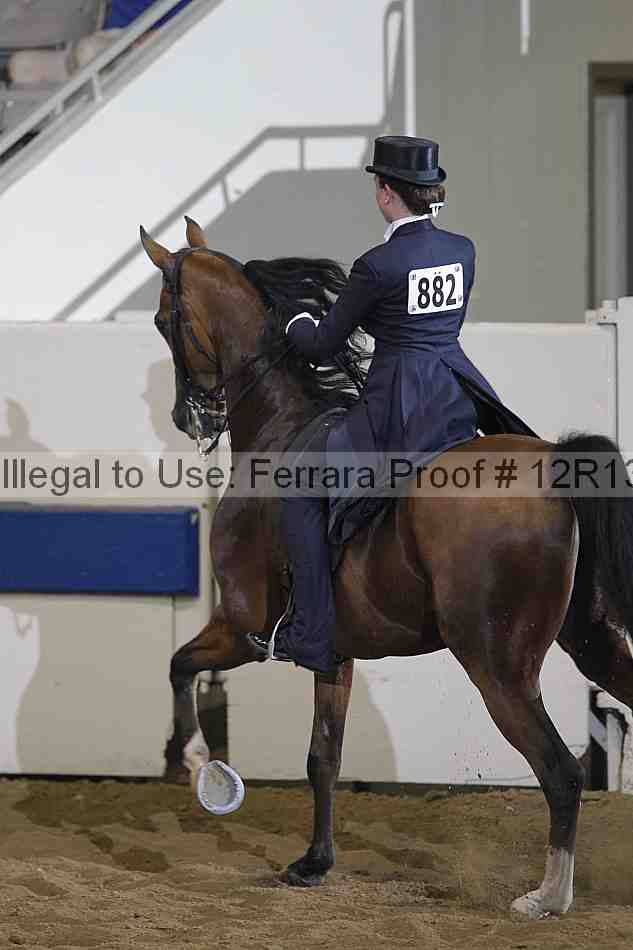 Proof 12r13_0894
