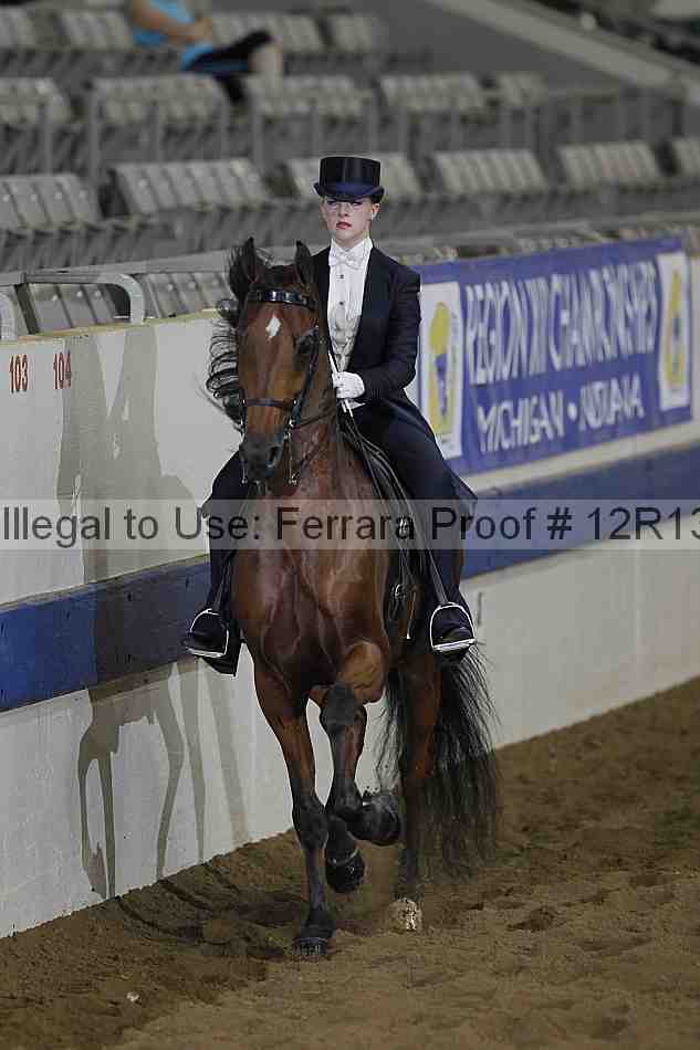 Proof 12r13_0897