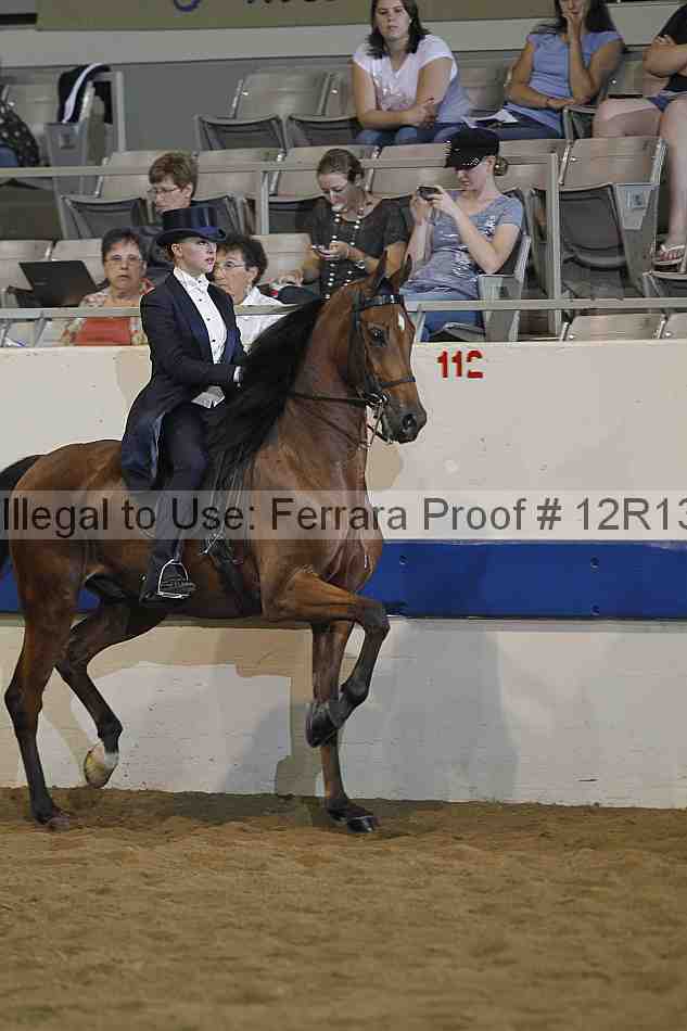 Proof 12r13_0899