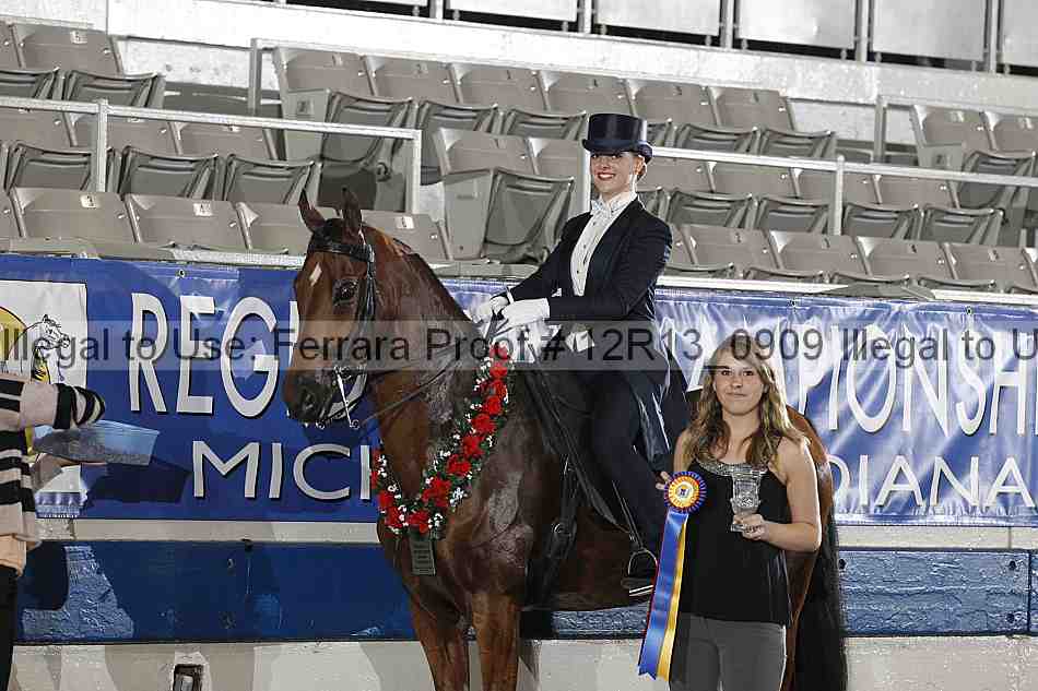 Proof 12r13_0909