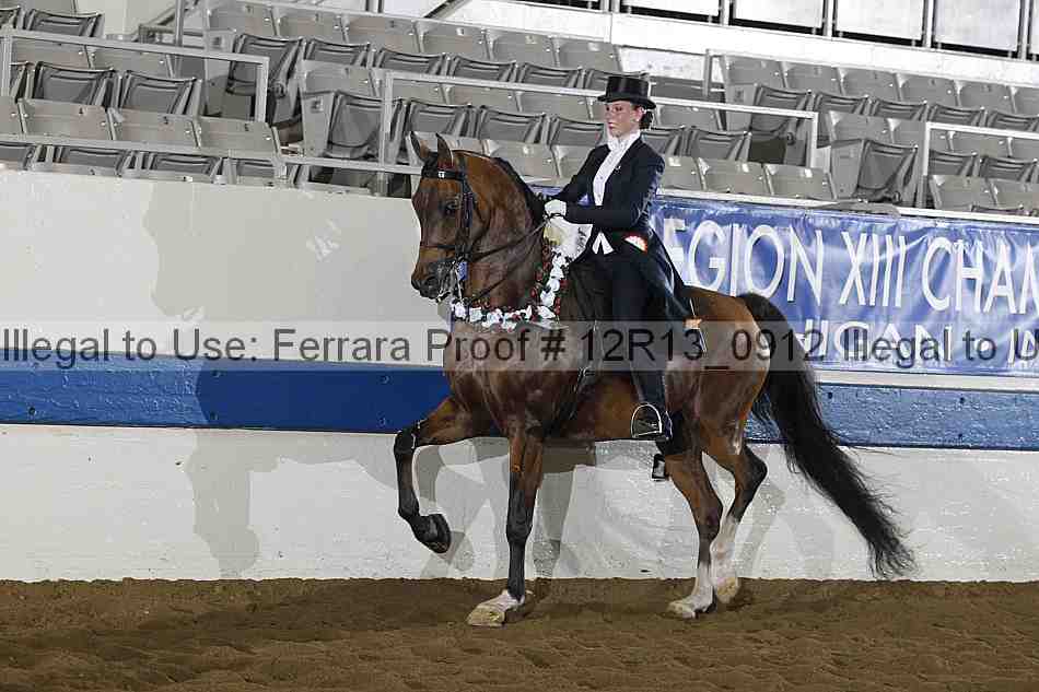 Proof 12r13_0912