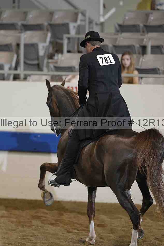 Proof 12r13_0925