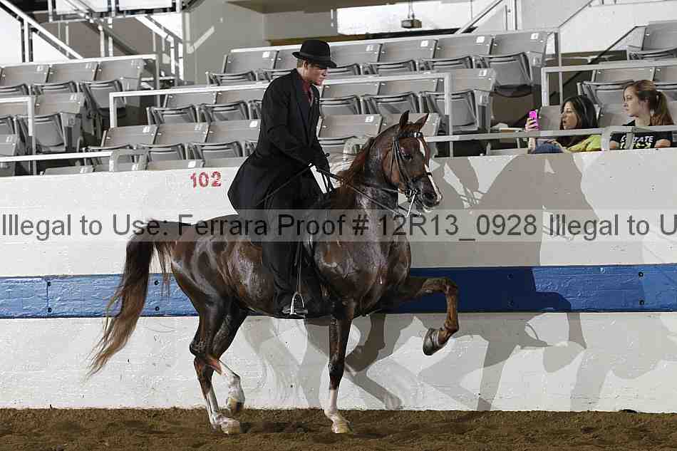 Proof 12r13_0928