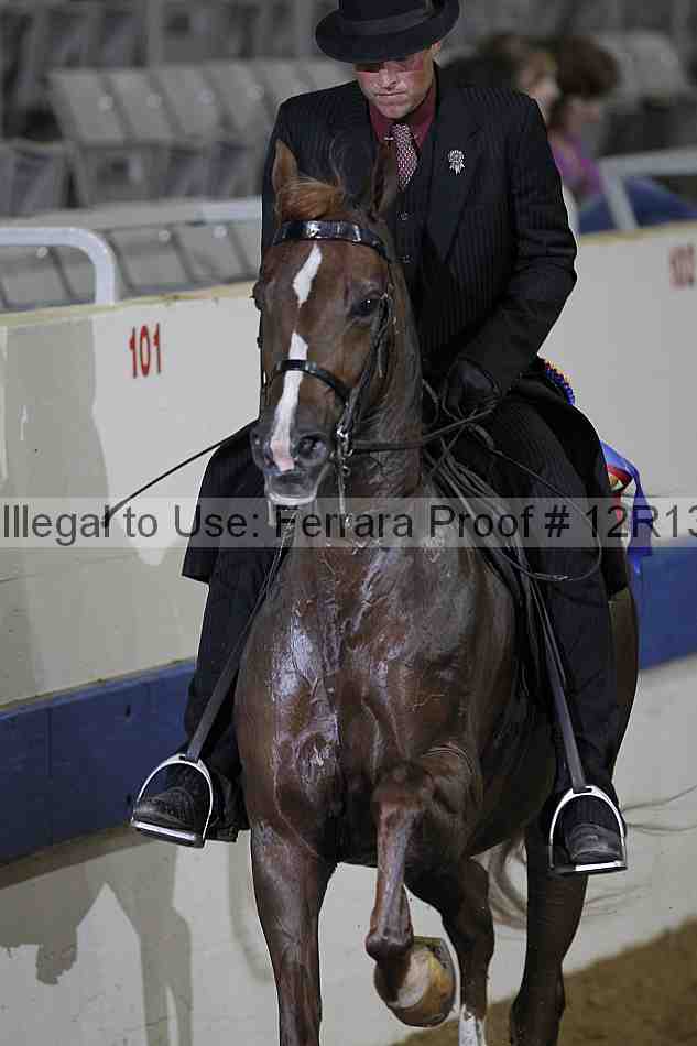 Proof 12r13_0934