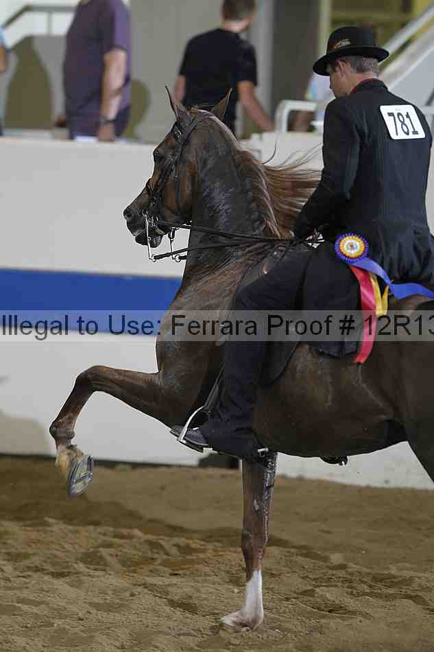 Proof 12r13_0935