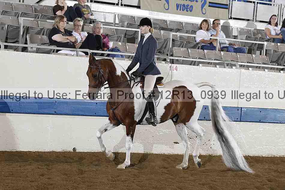 Proof 12r13_0939