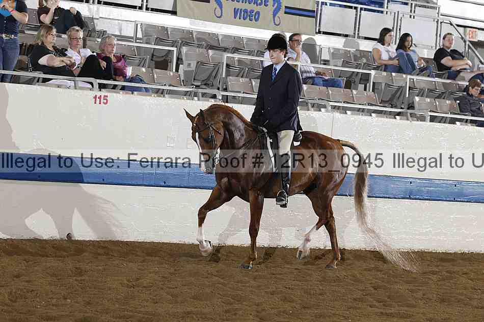 Proof 12r13_0945