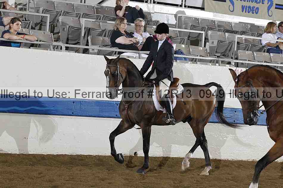 Proof 12r13_0949