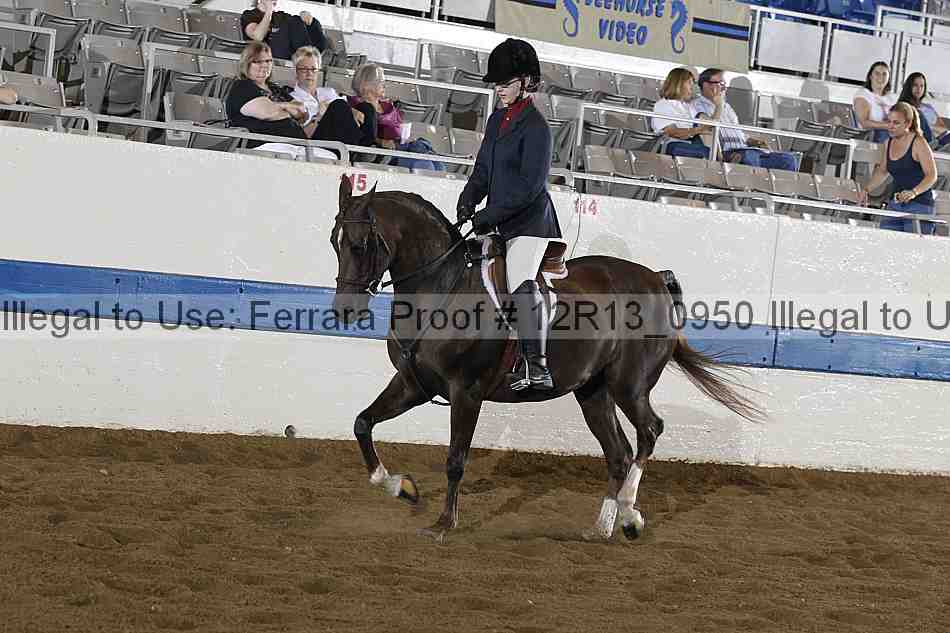 Proof 12r13_0950