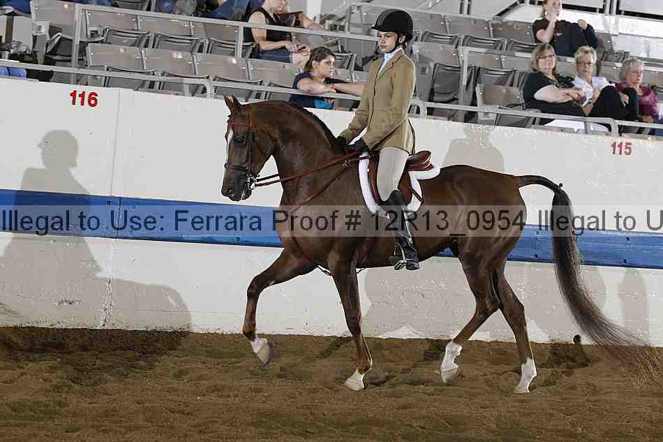 Proof 12r13_0954