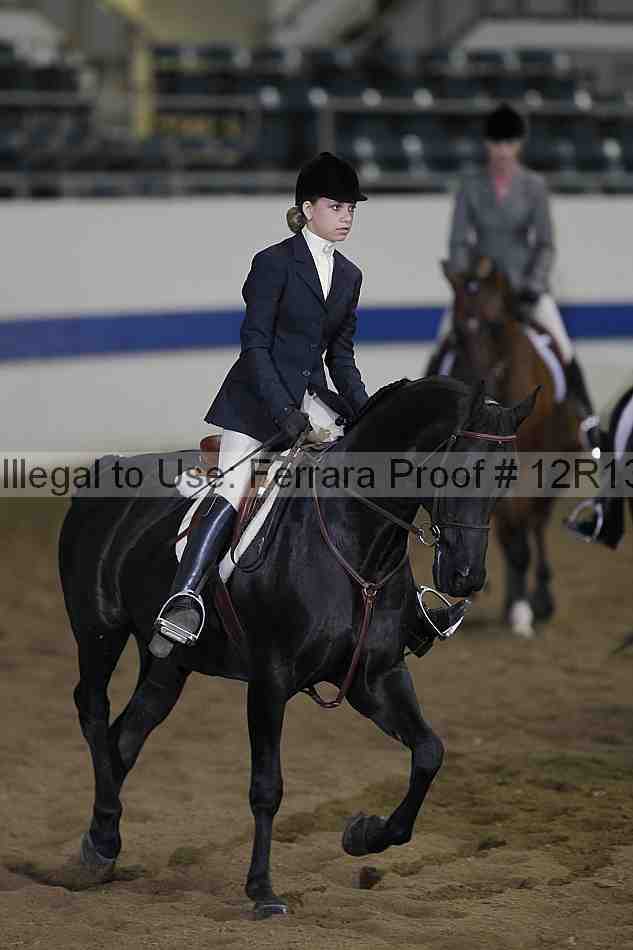 Proof 12r13_0955