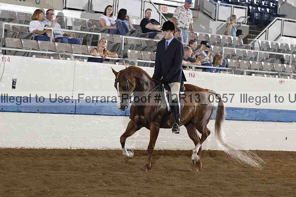 Proof 12r13_0957
