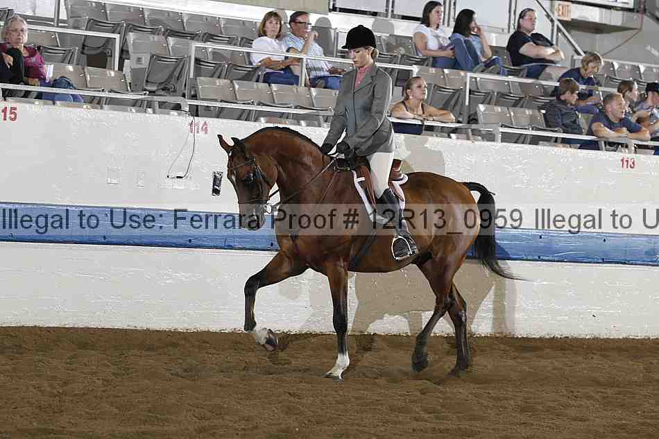 Proof 12r13_0959