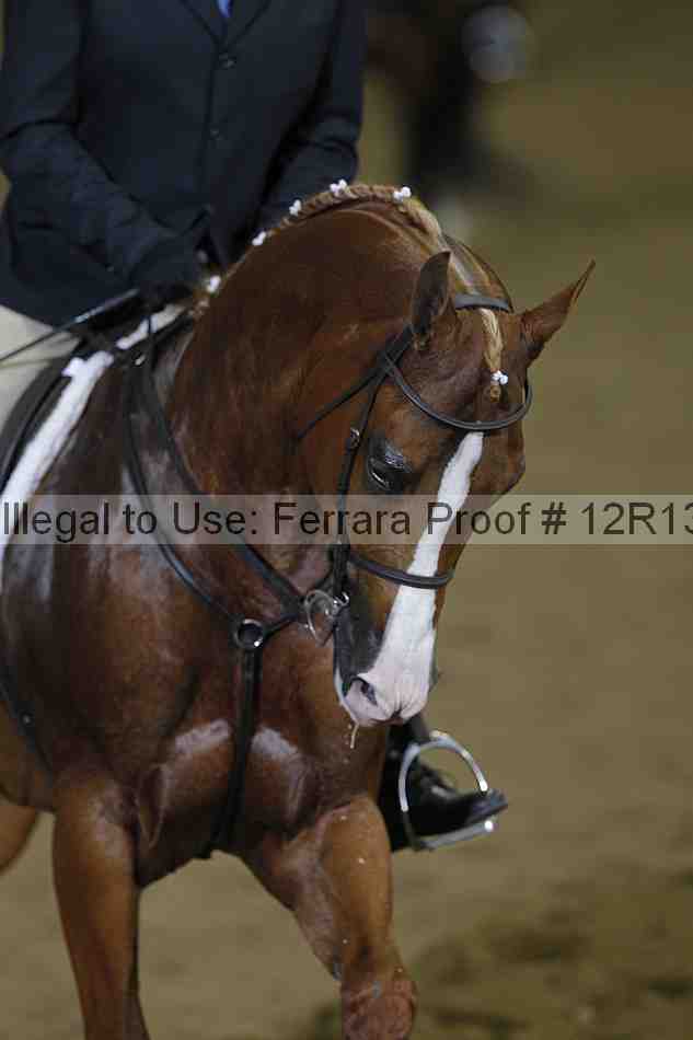 Proof 12r13_0963