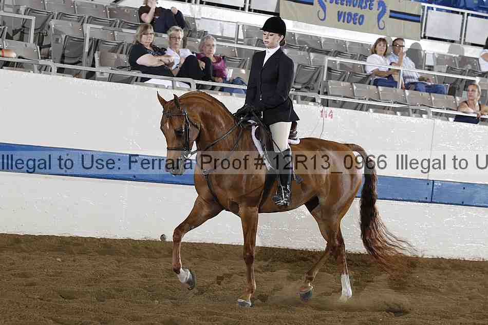 Proof 12r13_0966