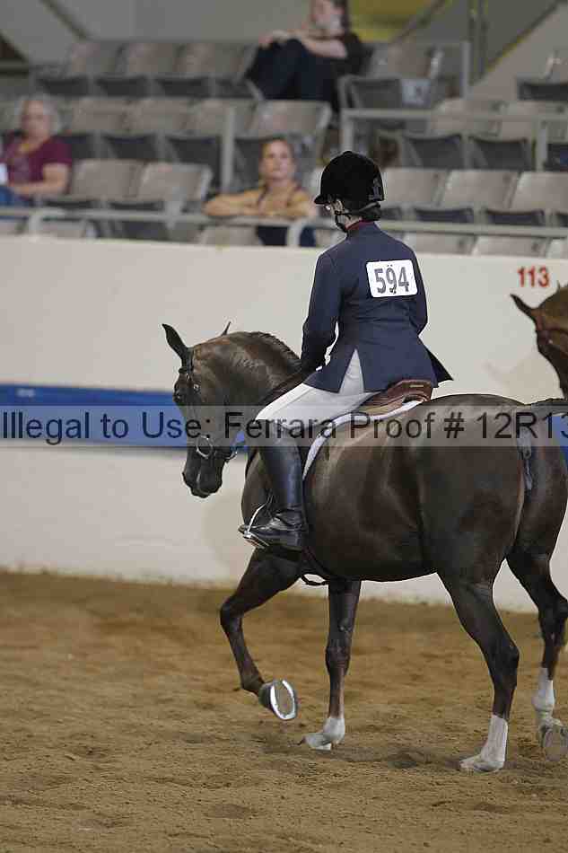 Proof 12r13_0972
