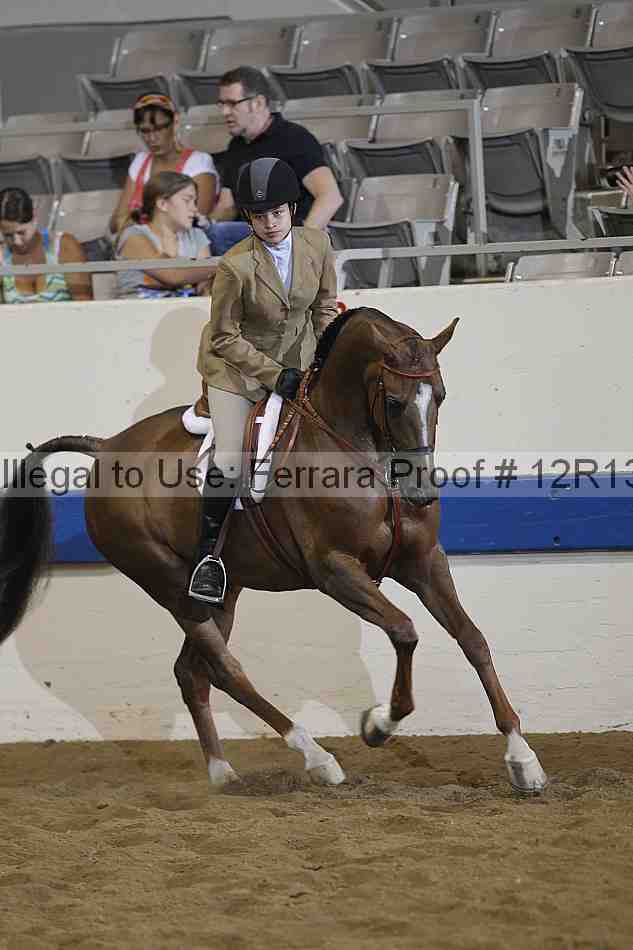Proof 12r13_0976