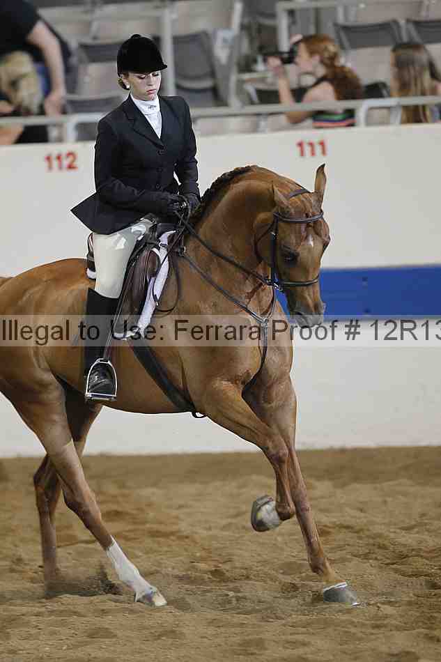 Proof 12r13_0977