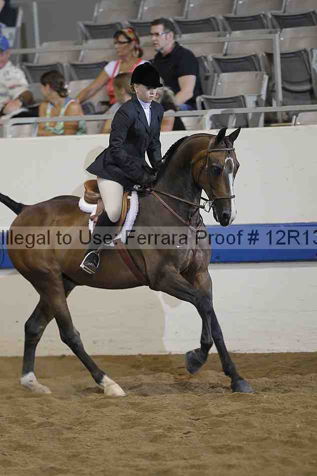 Proof 12r13_0978