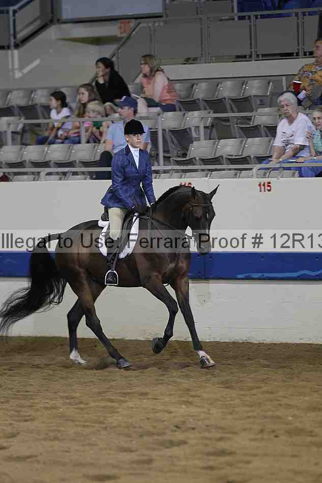 Proof 12r13_0979