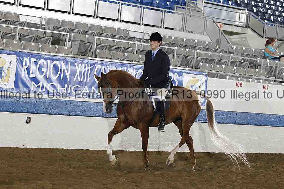 Proof 12r13_0990