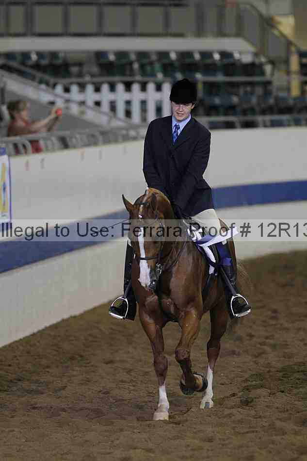 Proof 12r13_0994