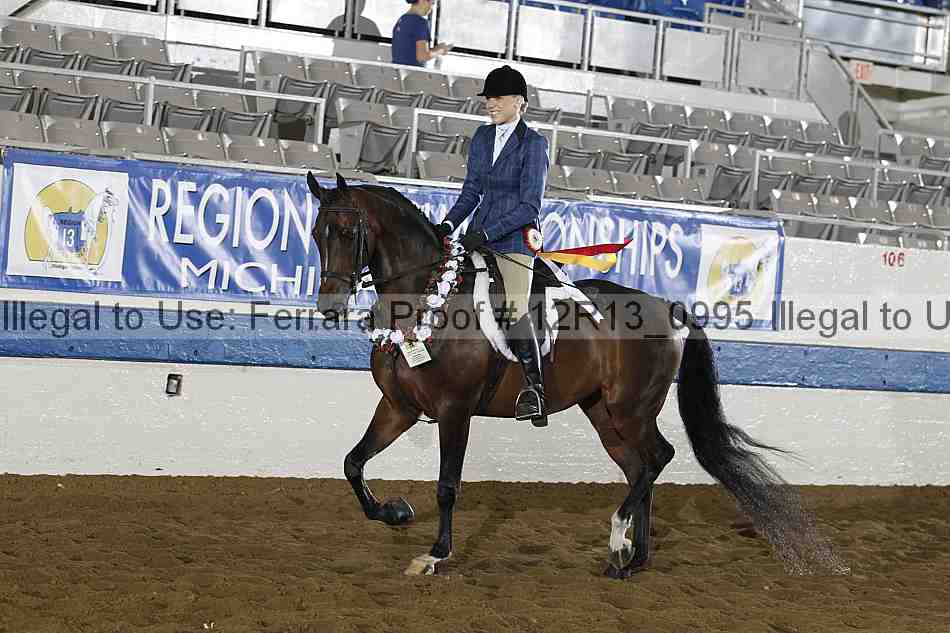 Proof 12r13_0995