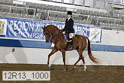 12r13_1000 proof