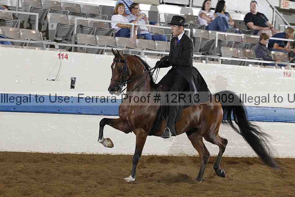 Proof 12r13_1009