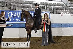 12r13_1011 proof
