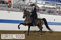 12r13_1024 proof