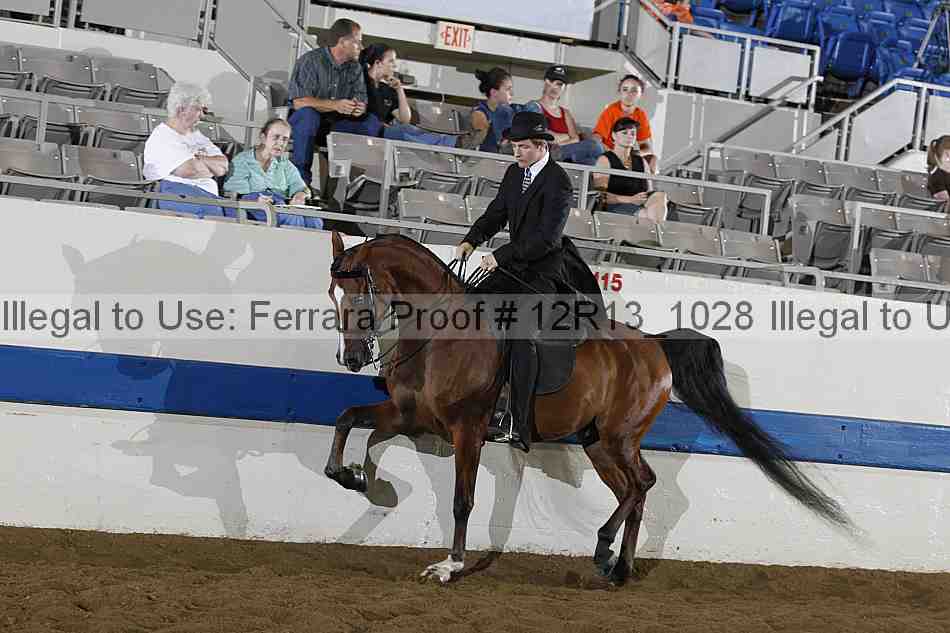 Proof 12r13_1028