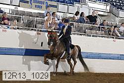 12r13_1029 proof