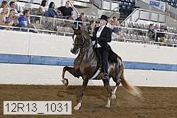 12r13_1031 proof