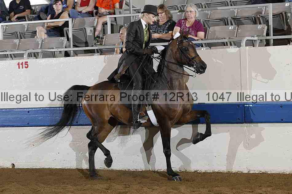 Proof 12r13_1047
