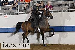 12r13_1047 proof