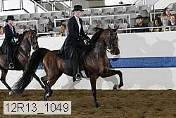 12r13_1049 proof