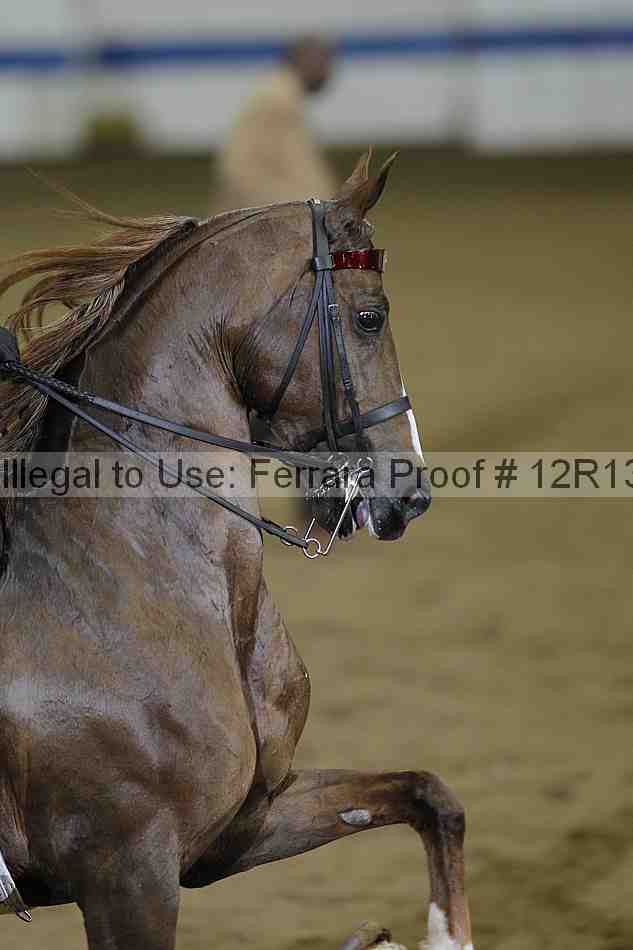 Proof 12r13_1060