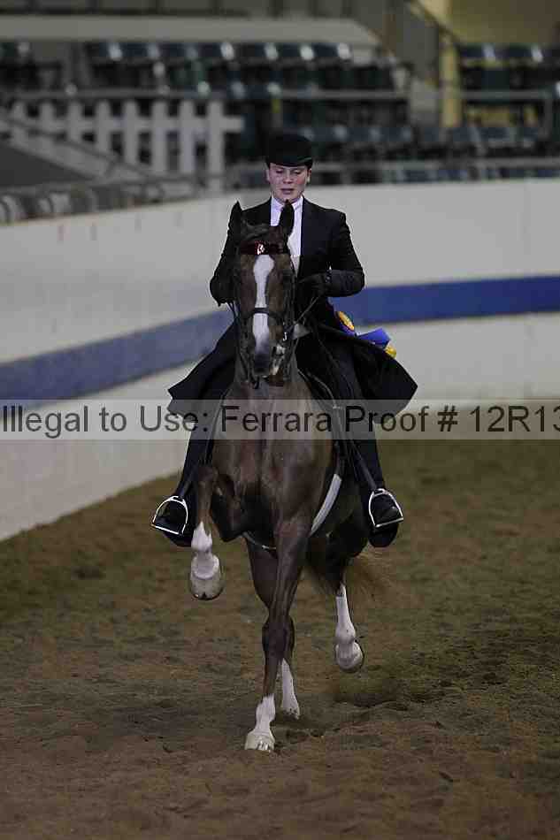 Proof 12r13_1070