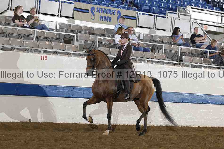 Proof 12r13_1075