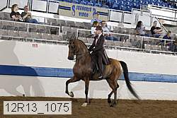 12r13_1075 proof