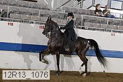 12r13_1076 proof