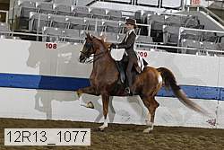 12r13_1077 proof
