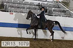 12r13_1079 proof