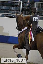 12r13_1087 proof