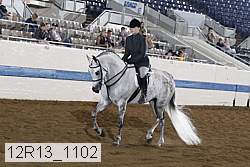 12r13_1102 proof