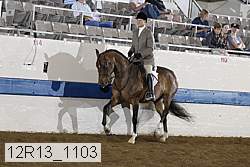 12r13_1103 proof