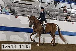 12r13_1105 proof