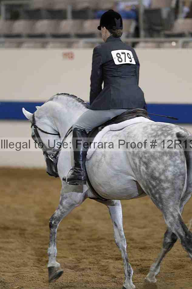 Proof 12r13_1106